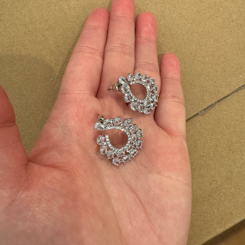 Elegant Silver Earrings